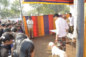 Read more about the article एस पी सी अंतर्गत बाह्य वर्ग श्वान पथक  धुळे